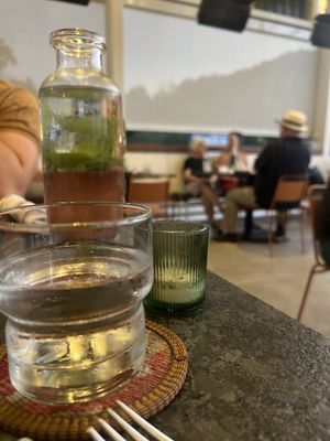 Little Coyote by null