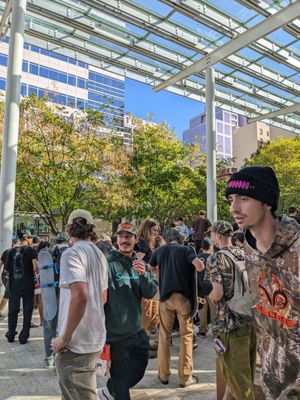 Director Park by null