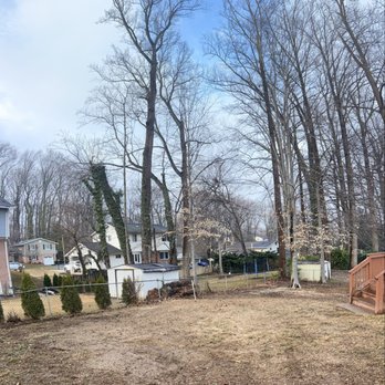 Ortega’s Tree Service - Tree Services Near Me - McLean, Virginia