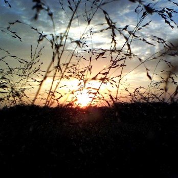 Indian Cave State Park - Beautiful sunset at Indian Cave State Park - Parks Near Me - Shubert, Nebraska