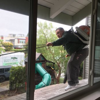 Inexpensive Tree Services - Cleaning the roof of branches and leaves - Tree Services Near Me - Los Angeles, California Inexpensive Tree Services - Cleaning the roof of branches and leaves - Tree Services Near Me - Los Angeles, California