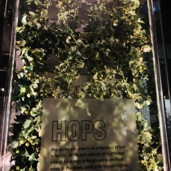 Guinness Storehouse - Breweries Near Me - Dublin, D