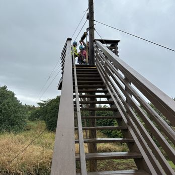 The Umauma Experience - One of the lines - Ziplining Near Me - Hakalau, Hawaii The Umauma Experience - One of the lines - Ziplining Near Me - Hakalau, Hawaii