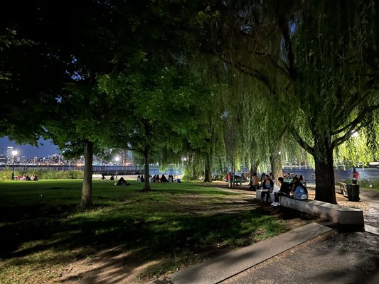 Hunter's Point South Park by null