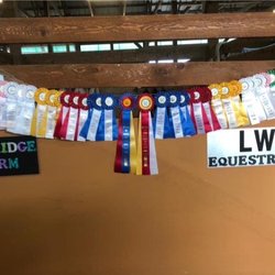 Sky Ridge Farm - Great time at the Schaghticoke fair! Lauren and Lauren are available for lessons! English and Western