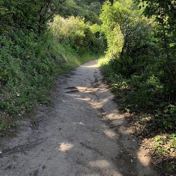 San Pedro Valley Park - 5.22.21 - Parks Near Me - Pacifica, California