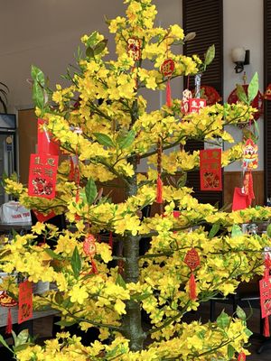 Đà Nẵng Quán Vietnamese Cuisine by null