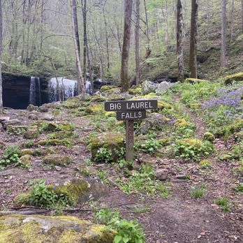 Virgin Falls Pocket Wilderness - Parks Near Me - Sparta, Tennessee