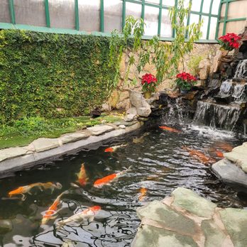 Pho Tre Bien - waterfall and pond - Vietnamese Near Me - El Paso, Texas