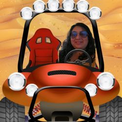 Cruise Control Driving School