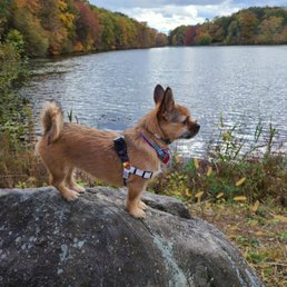 "..how can you consciously contemplate..." in Rockefeller State Park Reserve "..how can you consciously contemplate..." in Rockefeller State Park Reserve