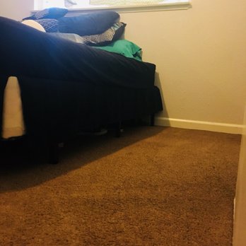 Carpet Wizzard - Carpet Cleaning Near Me
