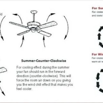 Kaze Sushi - Ceiling fans - Sushi Bars Near Me - Palmdale, California