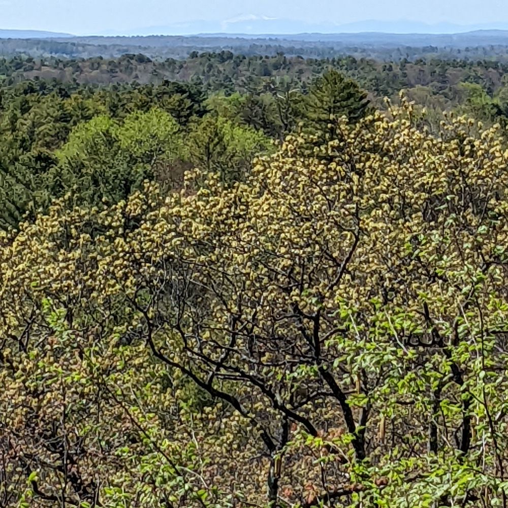 Hedgehog Mountain - Hiking Near Me - Freeport, Maine