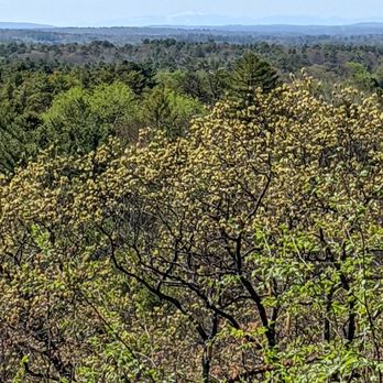 Hedgehog Mountain - Hiking Near Me - Freeport, Maine