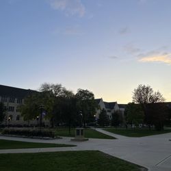 University of St Thomas