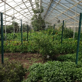 Urth Farms - One of the greenhouses on the premises - Farmers Market Near Me - New Britain, Connecticut Urth Farms - One of the greenhouses on the premises - Farmers Market Near Me - New Britain, Connecticut