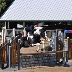 Silent Knight Stables