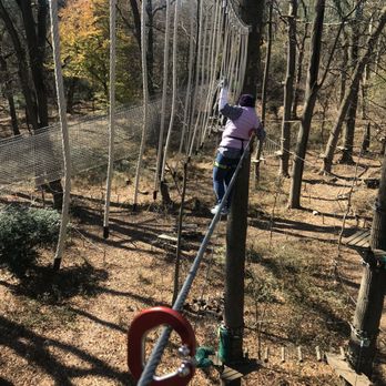 Treetop Quest Philly - Obstacle course! Hold on tight! - Amusement Parks Near Me - Philadelphia, Pennsylvania