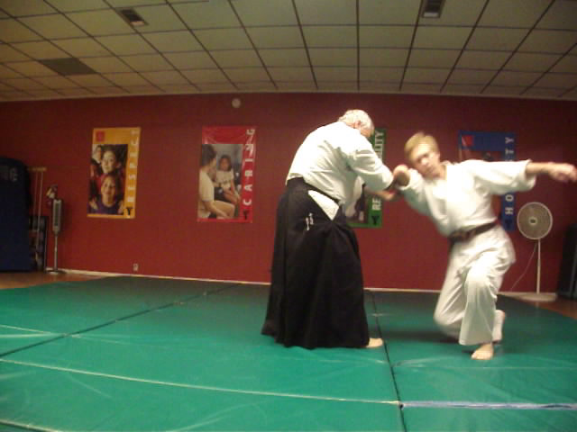 Emerald Coast Aikido Logo