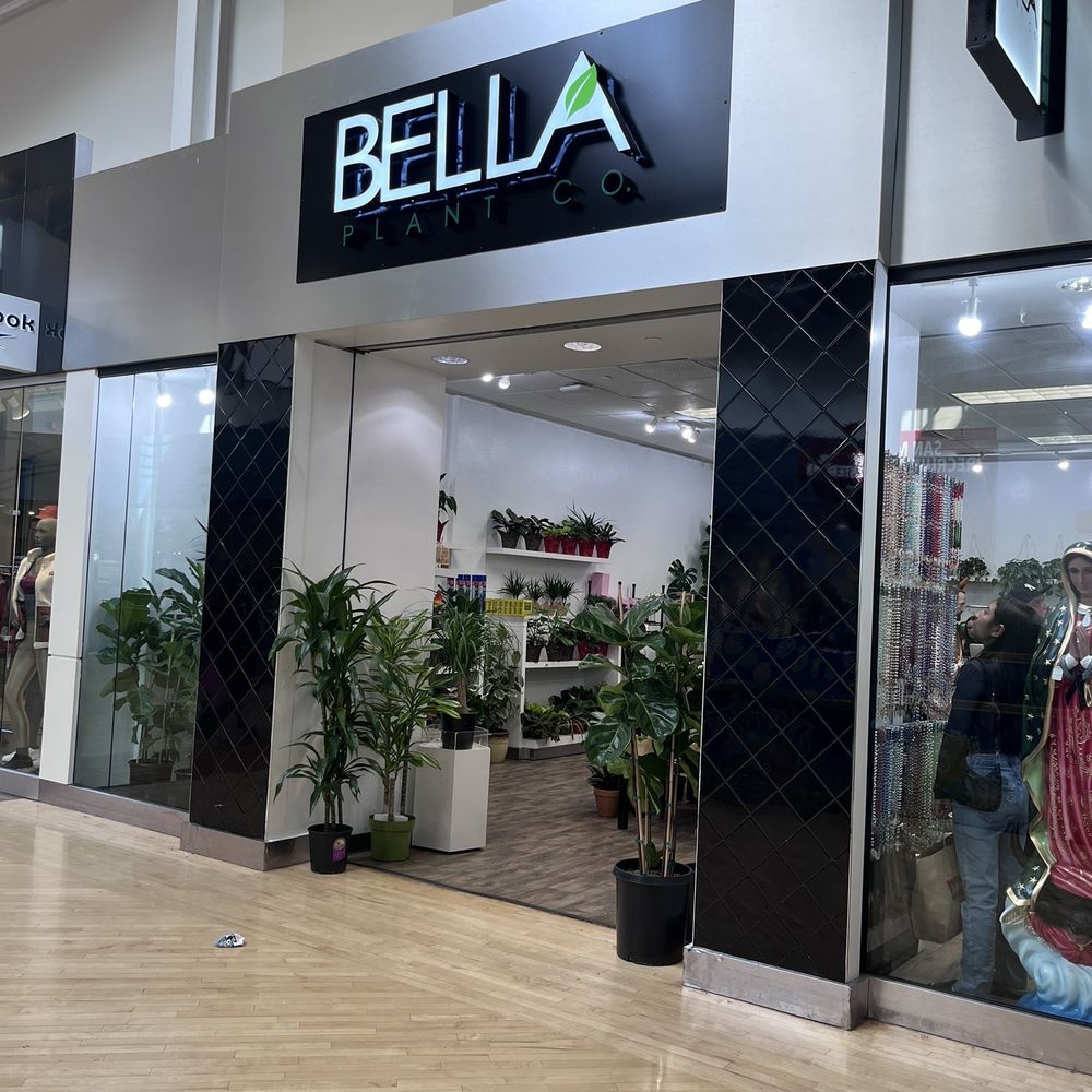 Bella Plant - Store signage - Religious Items Near Me - Ontario, California