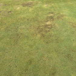 Dry Creek Ranch Golf Club - Multiple greens