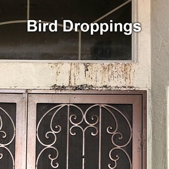 All Kleen - Window Washing Near Me - Phoenix, Arizona All Kleen - Window Washing Near Me - Phoenix, Arizona