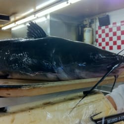 Catfish!