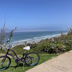 Cardiff Bike Shop - Absolutely loved the cruiser I rented for the weekend! It was awesome even riding up some pretty steep climbs!