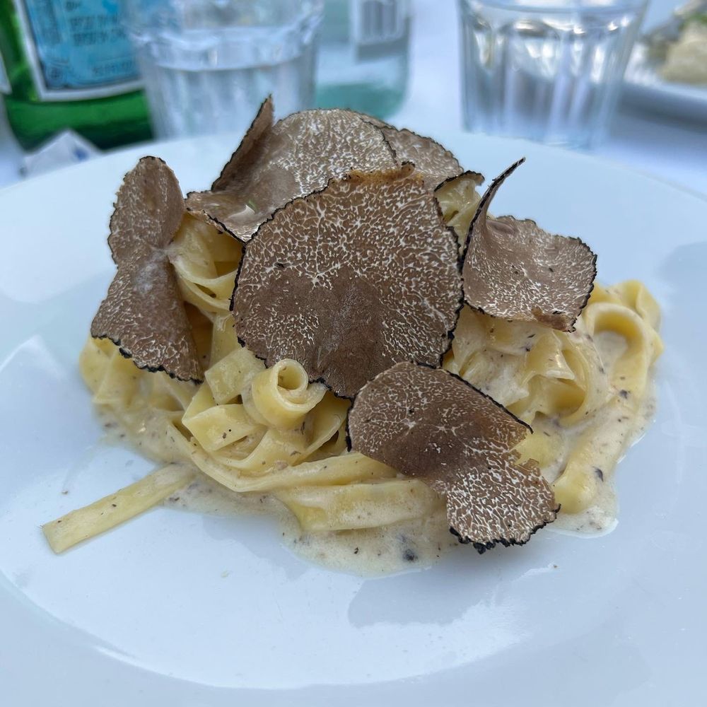 Truffle Fettucini Truffle Fettucini