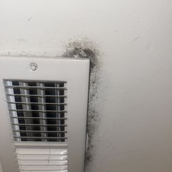 Ramblewood Village Apartments - Mold in my bedroom, told it was dust and it was fine to stay in the unit