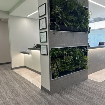 Natural Dental Partners - General Dentistry Near Me - Phoenix, Arizona Natural Dental Partners - General Dentistry Near Me - Phoenix, Arizona