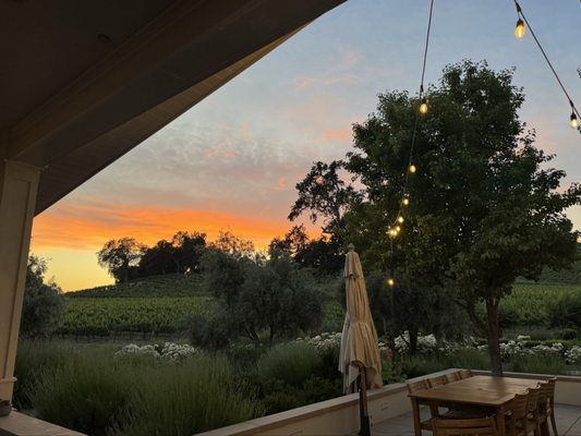 The Restaurant at JUSTIN by null