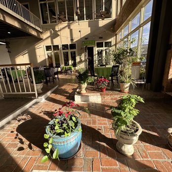 Bangkok City Restaurant - a patio with potted plants - Thai Near Me - Dallas, Texas Bangkok City Restaurant - a patio with potted plants - Thai Near Me - Dallas, Texas