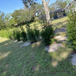 Thuja Gardens
