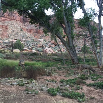 South Campground - Campgrounds Near Me - Springdale, Utah