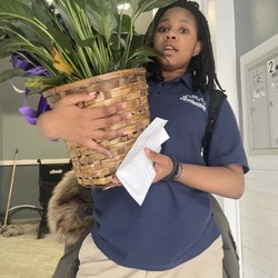 Schneider's Flowers - Nice plant
