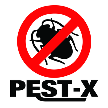 Pest-X Exterminating - Pest Control Near Me - Burlington, North Carolina Pest-X Exterminating - Pest Control Near Me - Burlington, North Carolina