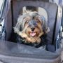 Riverwalk Pet Hospital & Resort