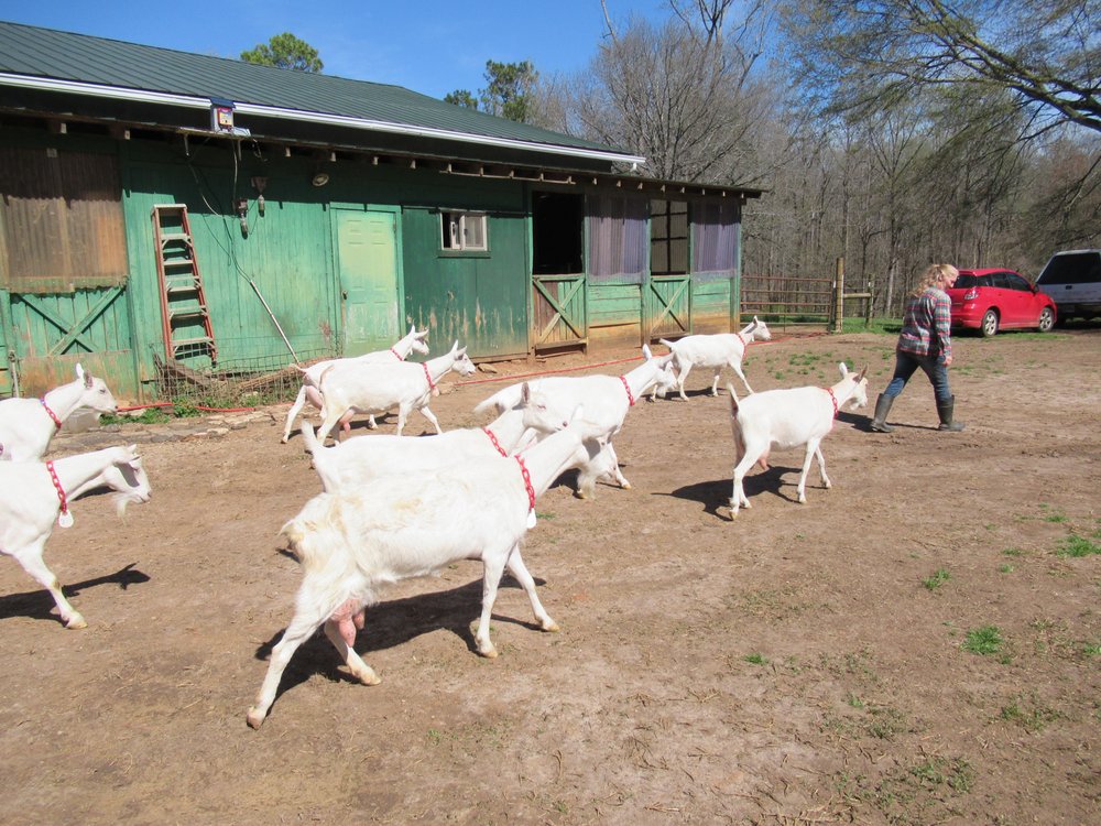 Food from Decimal Place Farm