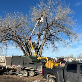 Blue Sky Tree - Tree Services Near Me Blue Sky Tree - Tree Services Near Me