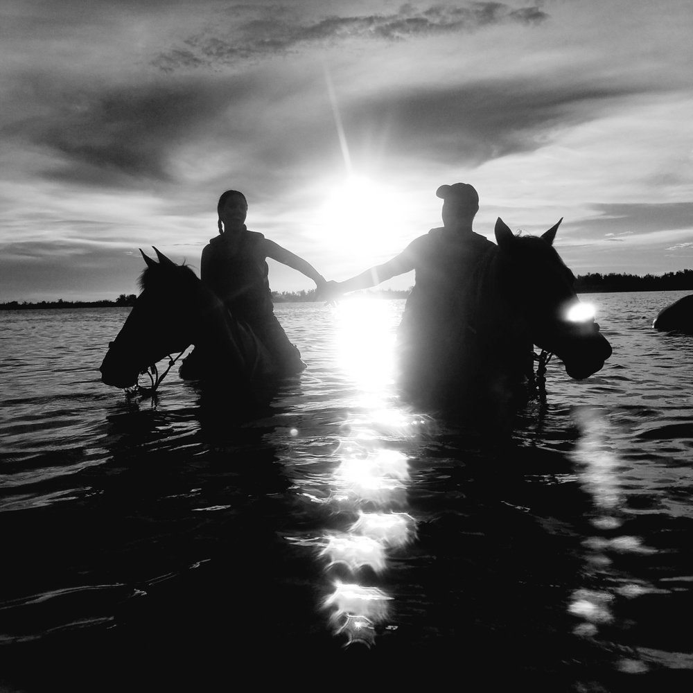 The Real BeachHorses - Horseback Riding Near Me - Bradenton, Florida The Real BeachHorses - Horseback Riding Near Me - Bradenton, Florida
