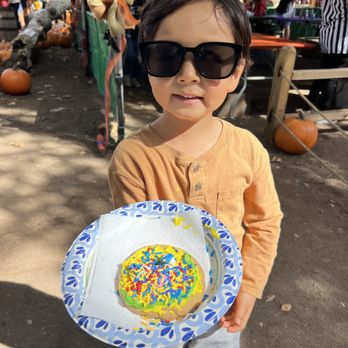 Irvine Park Railroad - Cookie Decoration - Amusement Parks Near Me - Orange, California