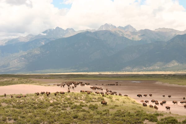 Zapata Ranch by null