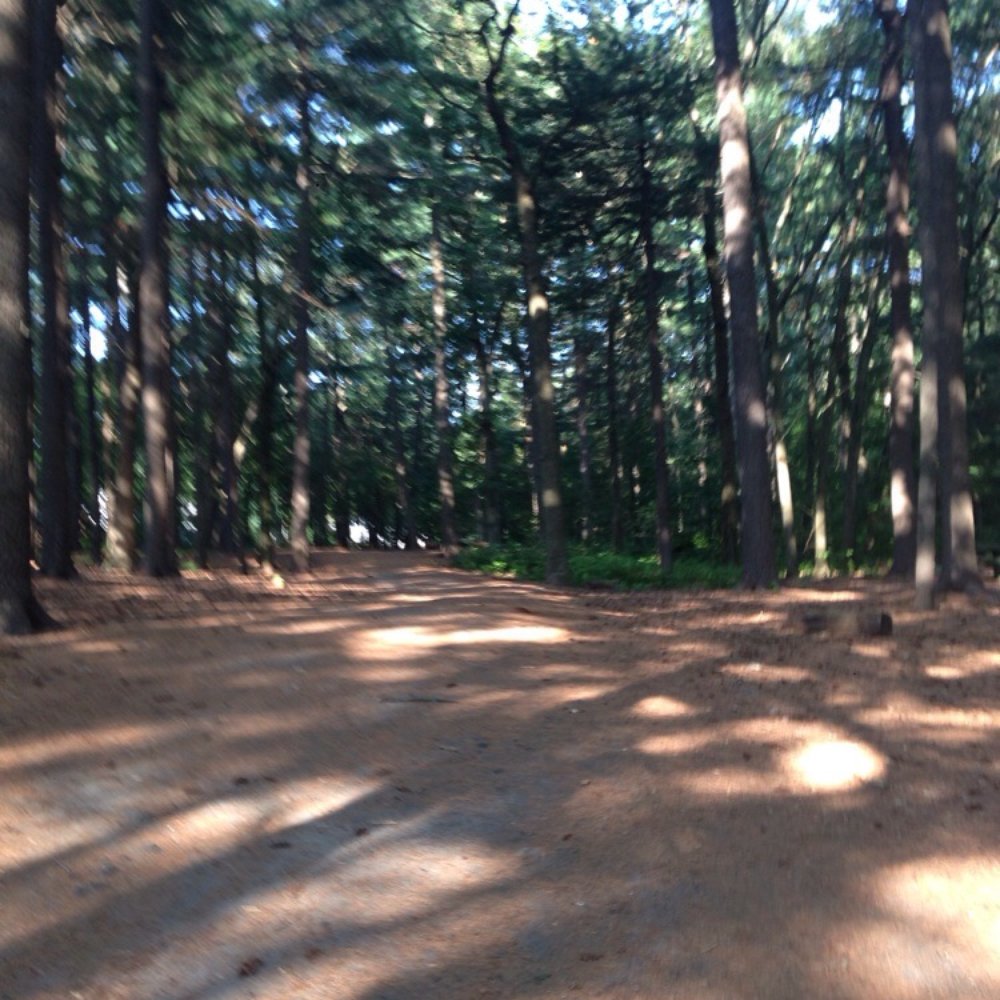 Menotomy Rocks Park - Walking trail - Parks Near Me - Arlington, Massachusetts