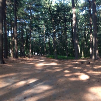 Menotomy Rocks Park - Walking trail - Parks Near Me - Arlington, Massachusetts