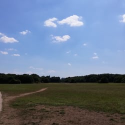 Niddapark - Lange, schöne Wege.