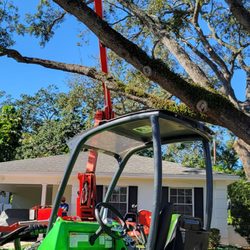 Tampa Tree Works