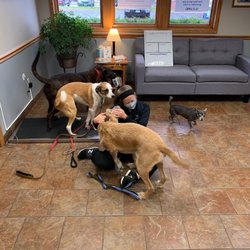 Vet Partners Pet Hospital - Apple Valley - Our fur kids