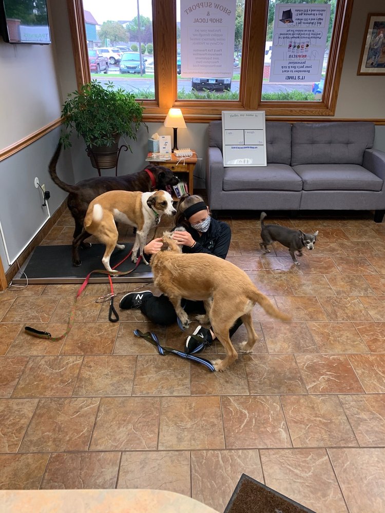 VET PARTNERS PET HOSPITAL - APPLE VALLEY - Updated June 2026 - 13 ...